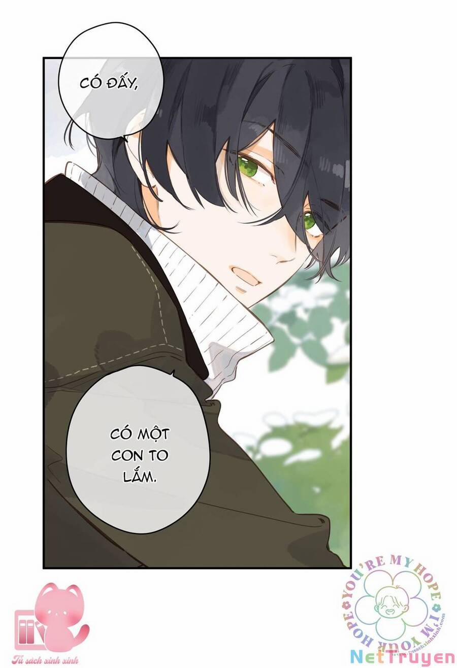 Ngôi Nhà Hướng Dương 57 trang 11