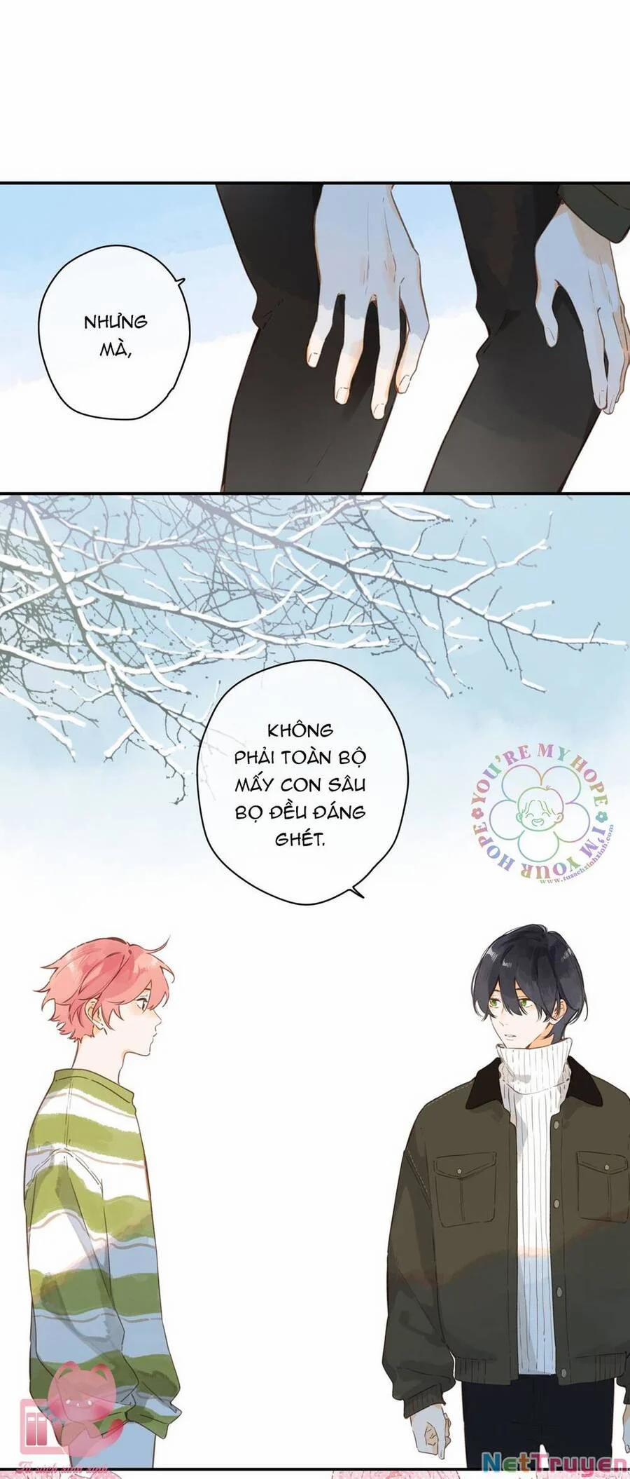 Ngôi Nhà Hướng Dương 57 trang 13