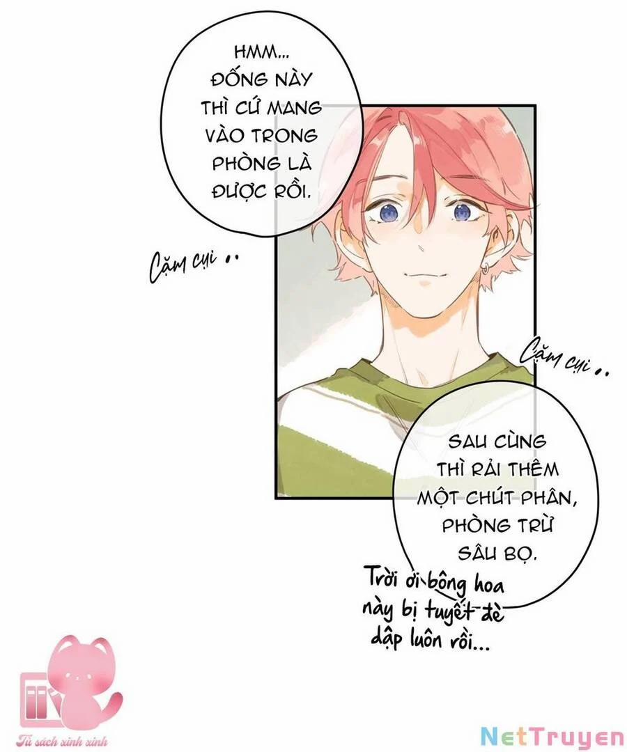 Ngôi Nhà Hướng Dương 57 trang 6