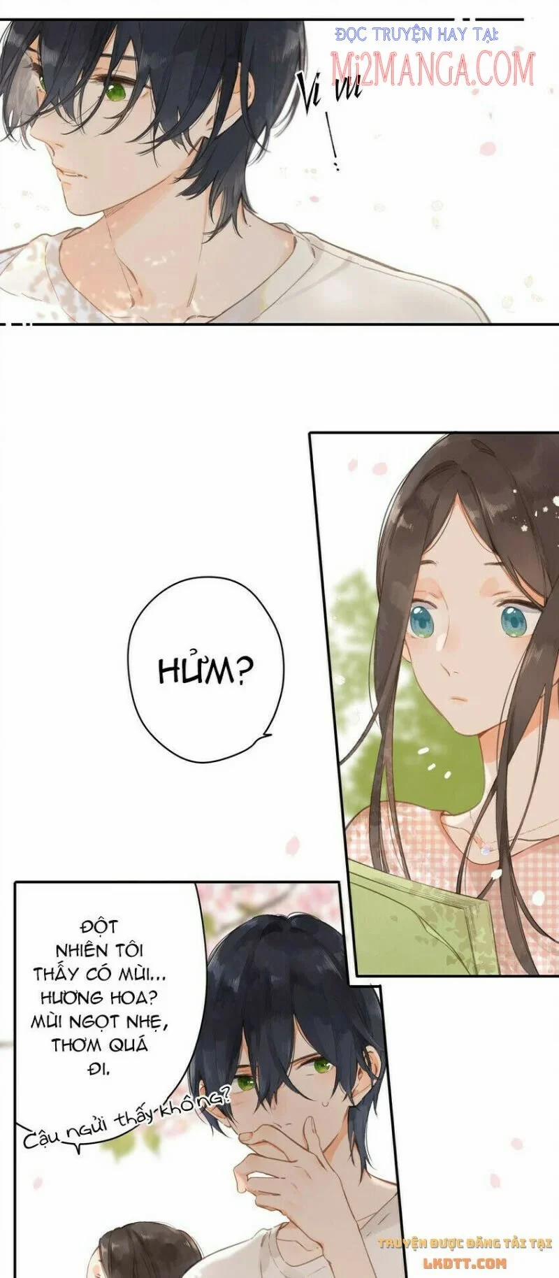 Ngôi Nhà Hướng Dương 6 trang 4