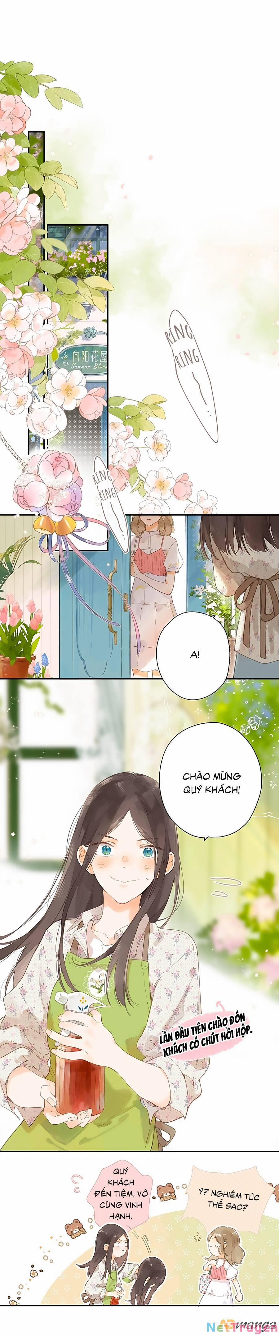 Ngôi Nhà Hướng Dương 8 trang 0