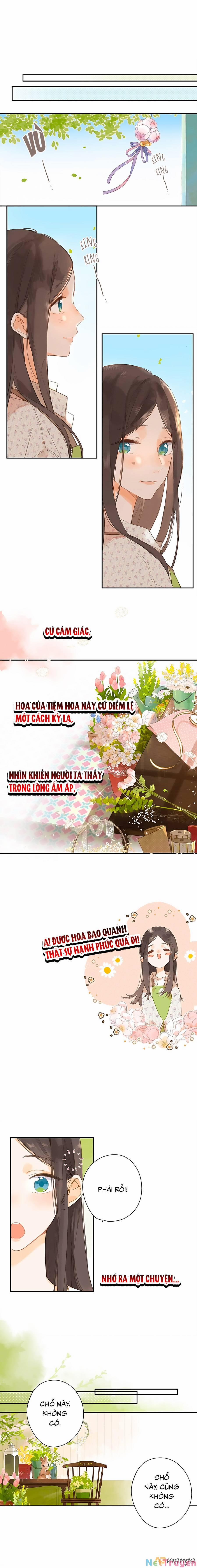 Ngôi Nhà Hướng Dương 8 trang 4