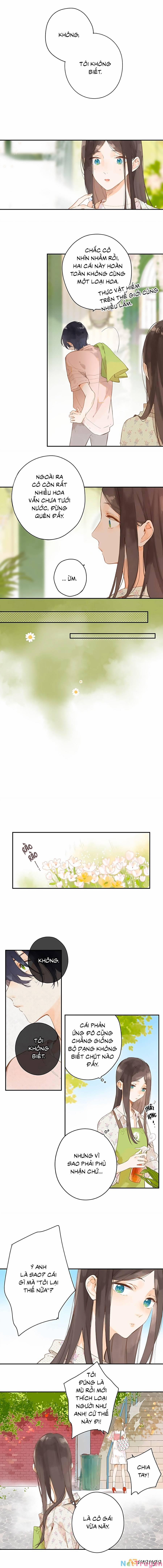 Ngôi Nhà Hướng Dương 8 trang 7