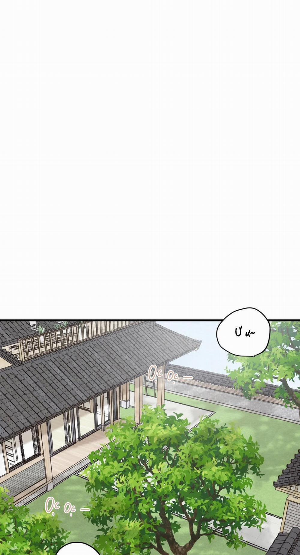 NGÔI NHÀ HƯỚNG MẶT TRỜI MỌC 15 trang 19