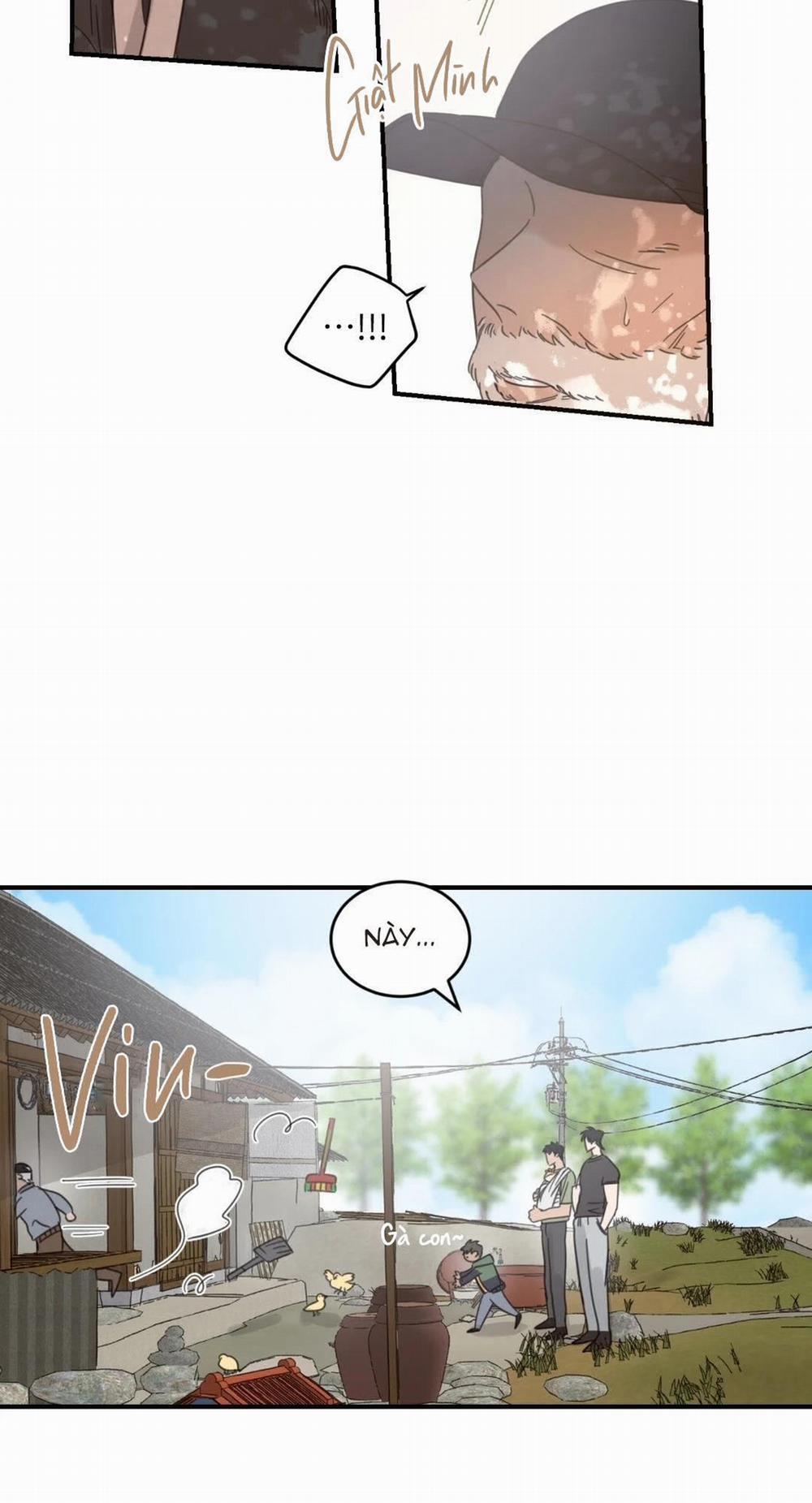 NGÔI NHÀ HƯỚNG MẶT TRỜI MỌC 15 trang 43