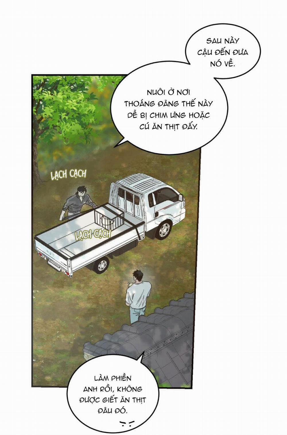 NGÔI NHÀ HƯỚNG MẶT TRỜI MỌC 19 trang 13