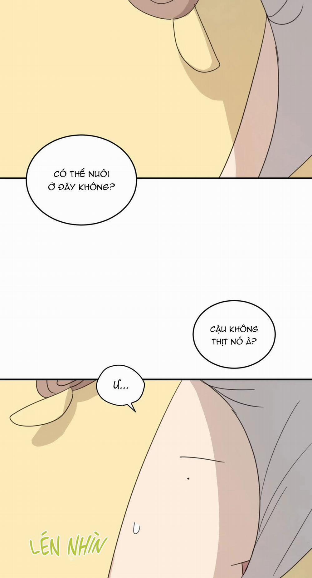 NGÔI NHÀ HƯỚNG MẶT TRỜI MỌC 19 trang 6