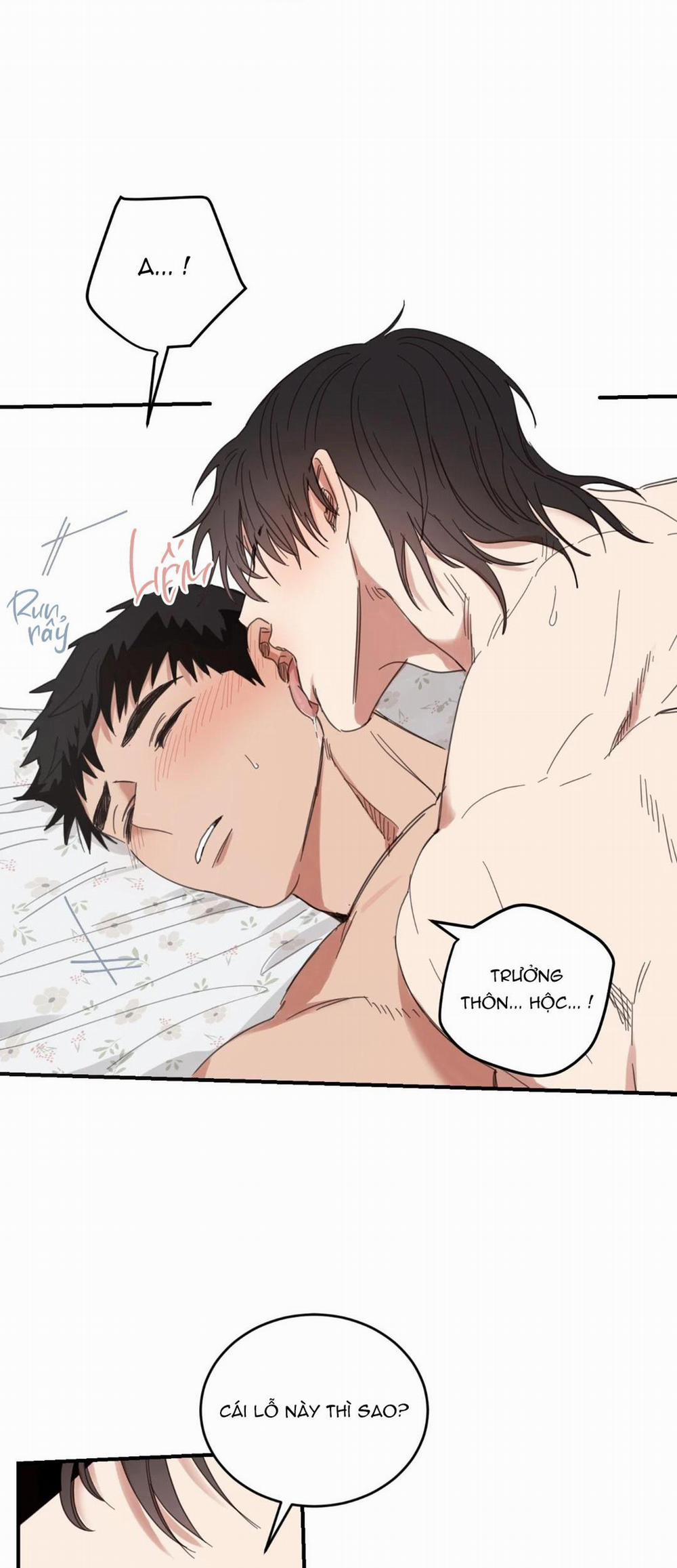 NGÔI NHÀ HƯỚNG MẶT TRỜI MỌC 24 Hát kè trang 17