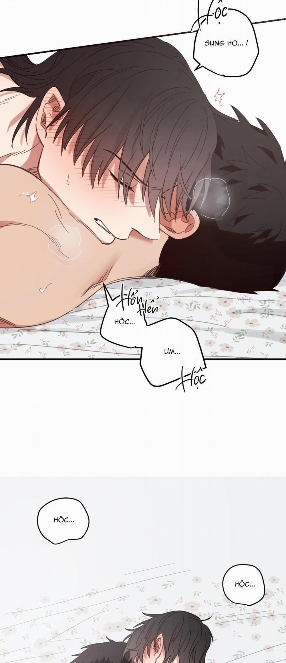 NGÔI NHÀ HƯỚNG MẶT TRỜI MỌC 24 Hát kè trang 20