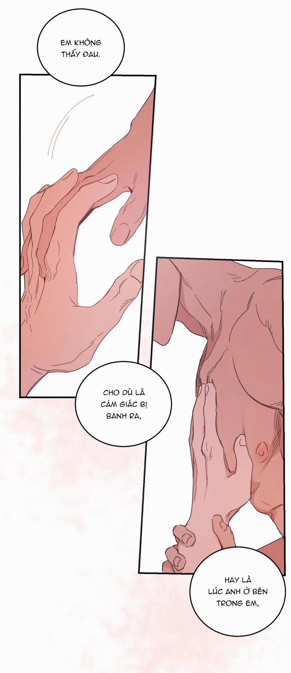 NGÔI NHÀ HƯỚNG MẶT TRỜI MỌC 24 Hát kè trang 7