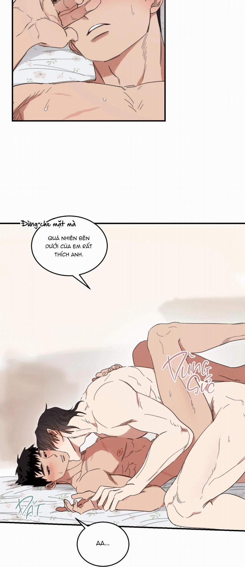 NGÔI NHÀ HƯỚNG MẶT TRỜI MỌC 24 trang 16