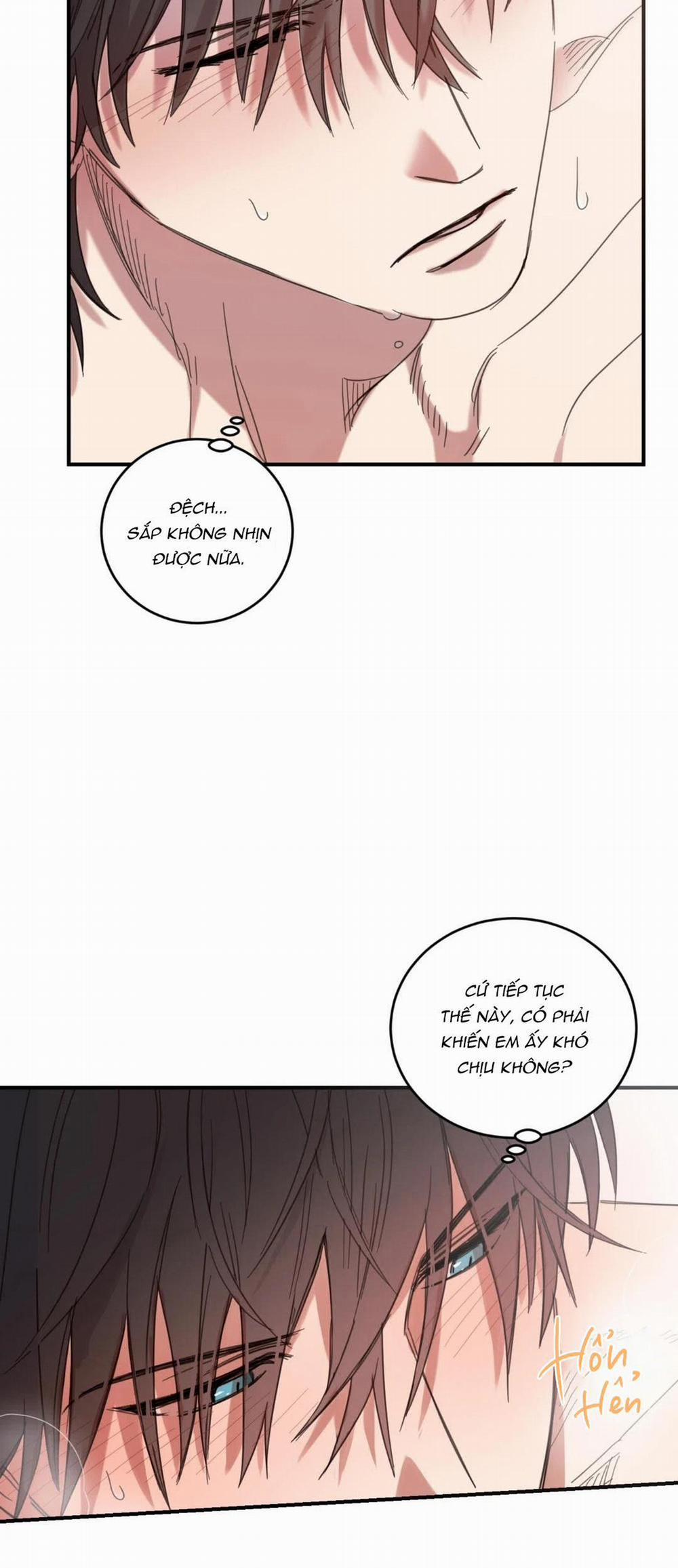 NGÔI NHÀ HƯỚNG MẶT TRỜI MỌC 24 trang 5