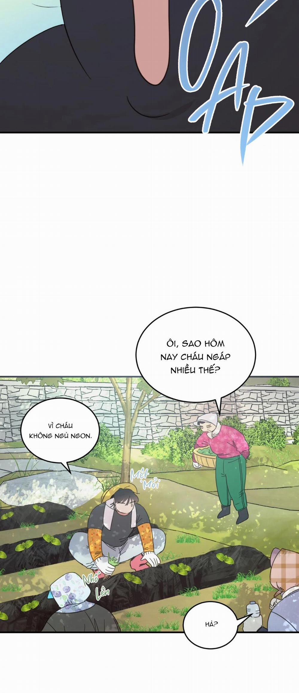 NGÔI NHÀ HƯỚNG MẶT TRỜI MỌC 25 END SEASON 1 trang 14