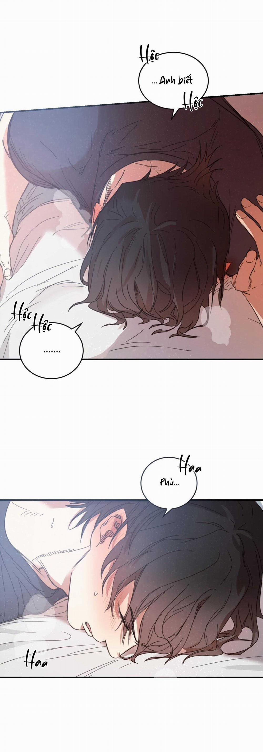 NGÔI NHÀ HƯỚNG MẶT TRỜI MỌC 29 trang 38