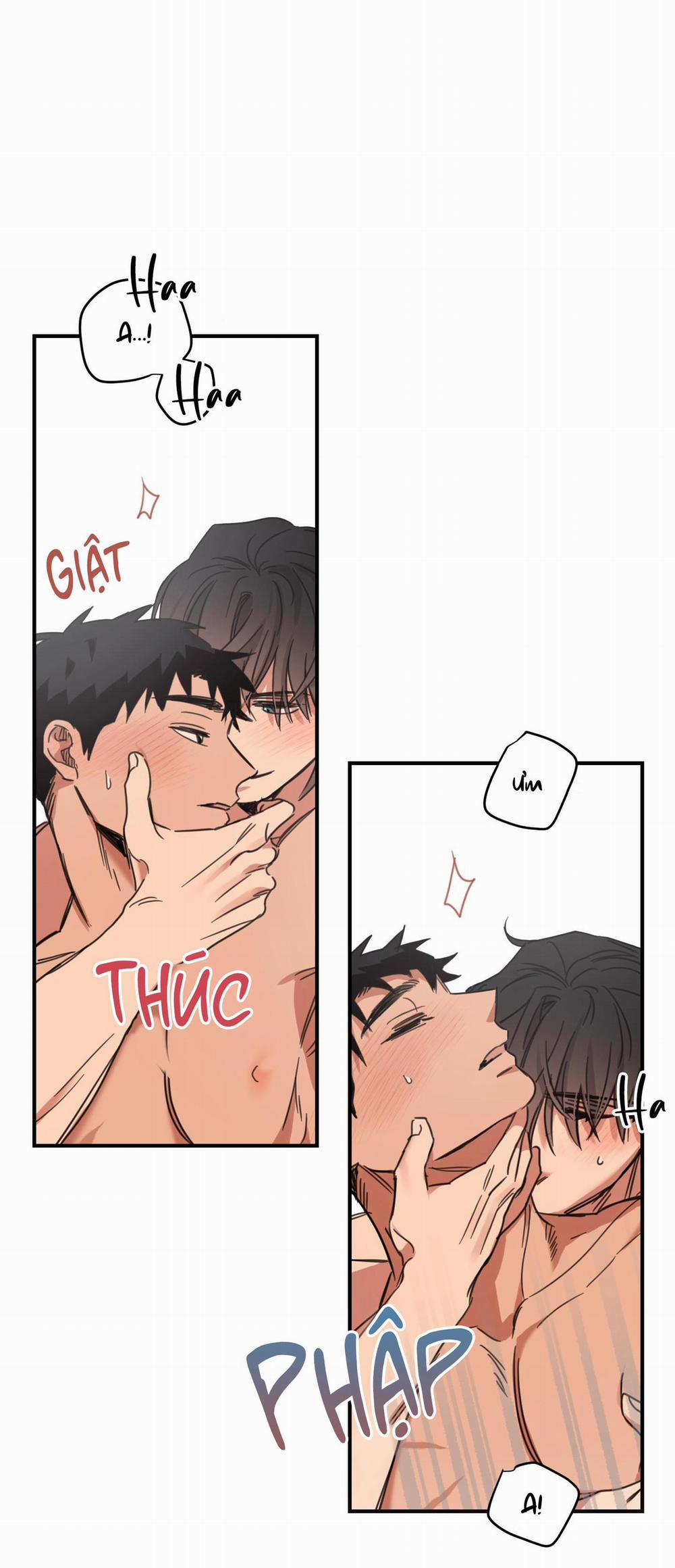 NGÔI NHÀ HƯỚNG MẶT TRỜI MỌC 31 trang 21