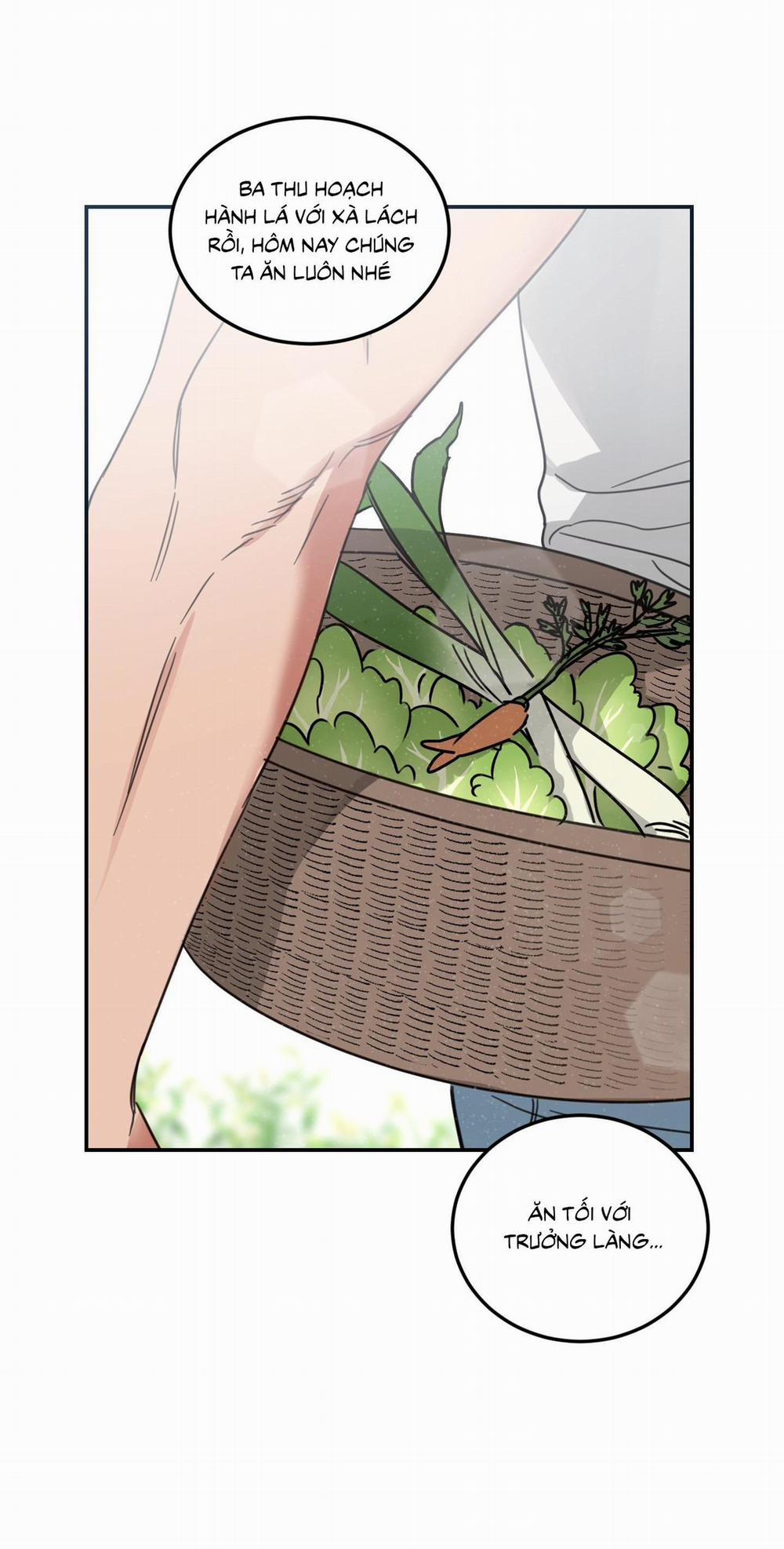 NGÔI NHÀ HƯỚNG MẶT TRỜI MỌC 34 trang 8