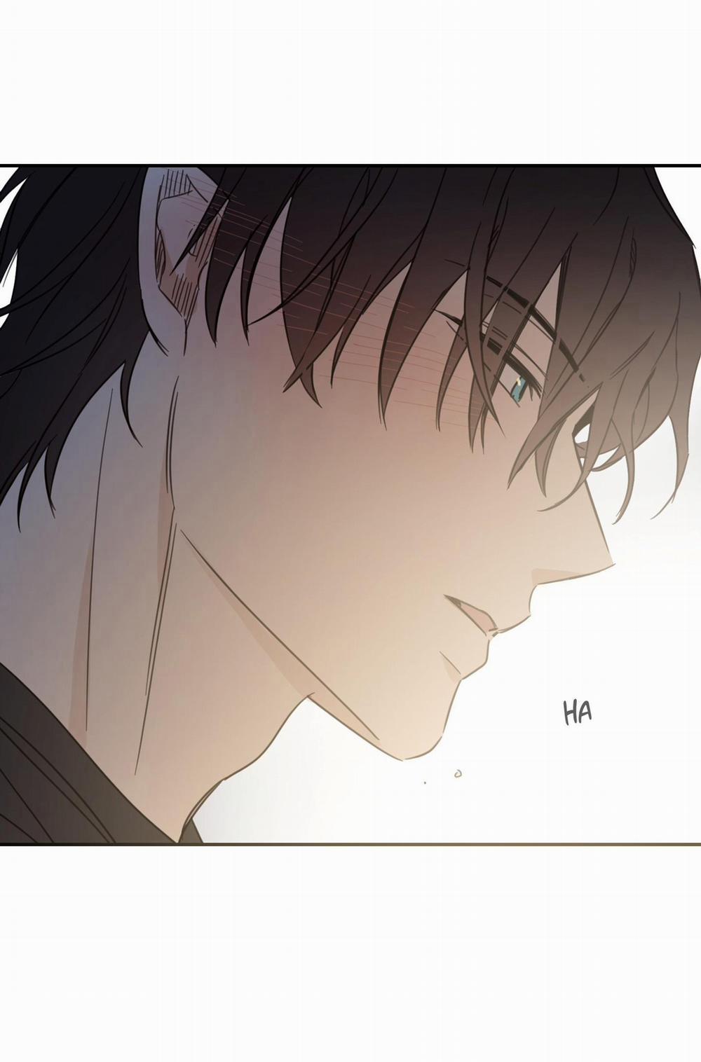 NGÔI NHÀ HƯỚNG MẶT TRỜI MỌC 36 trang 37