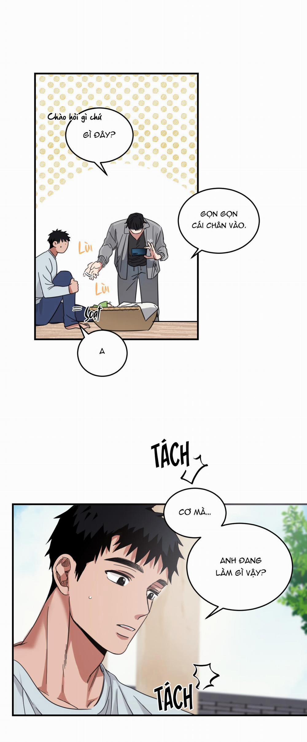 NGÔI NHÀ HƯỚNG MẶT TRỜI MỌC 4 trang 19