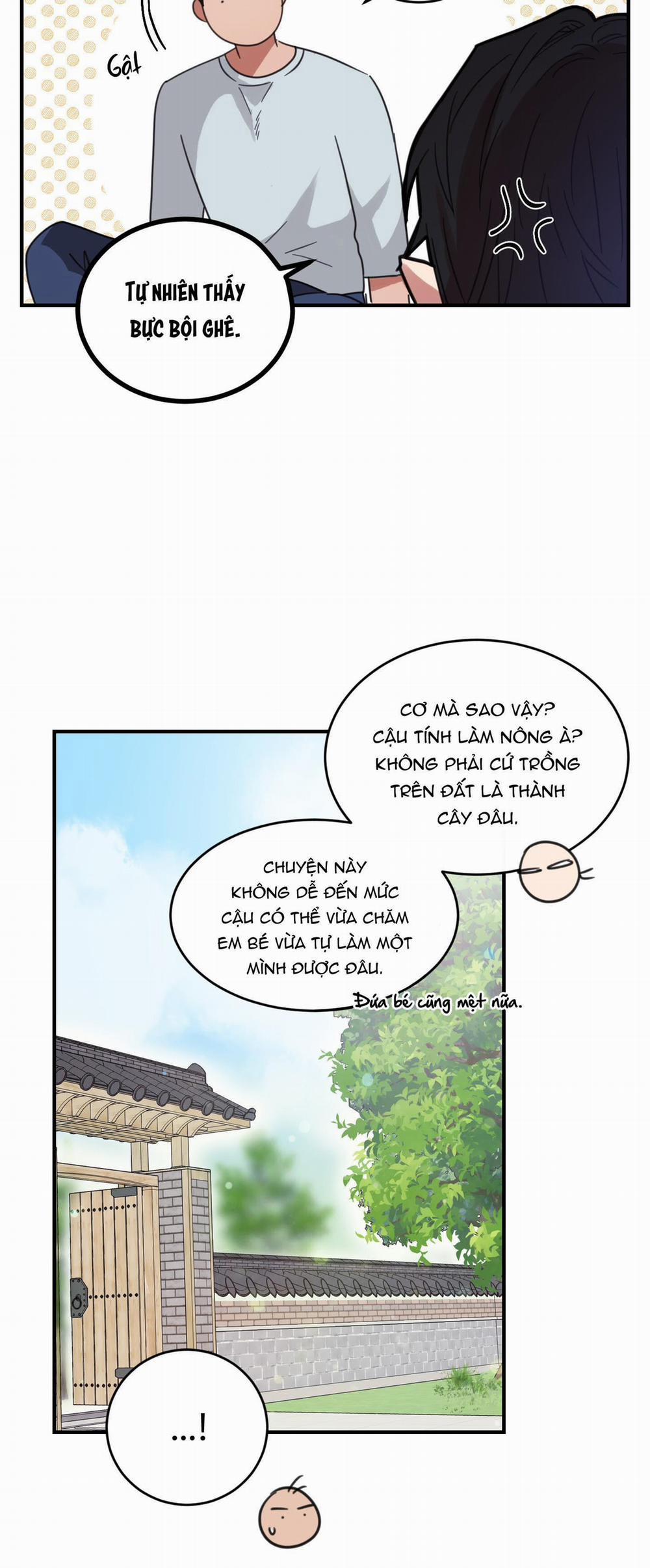 NGÔI NHÀ HƯỚNG MẶT TRỜI MỌC 4 trang 25