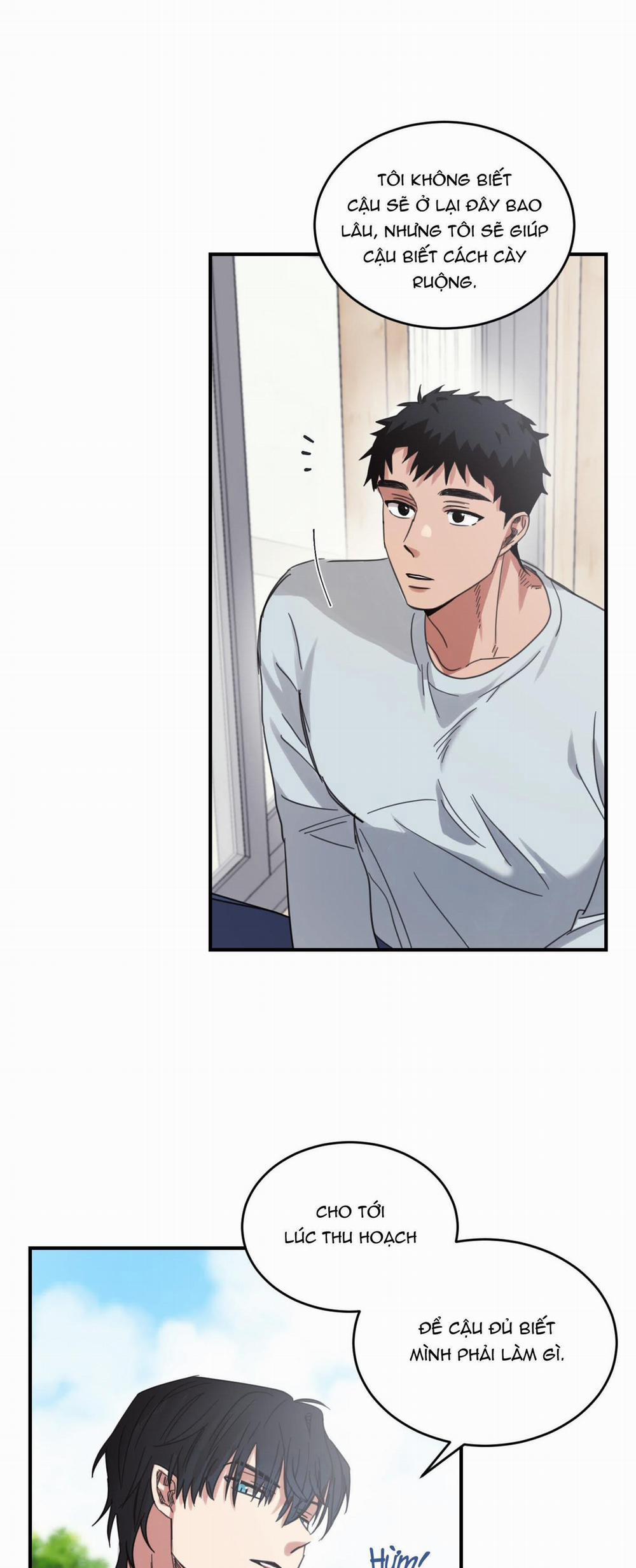 NGÔI NHÀ HƯỚNG MẶT TRỜI MỌC 4 trang 28