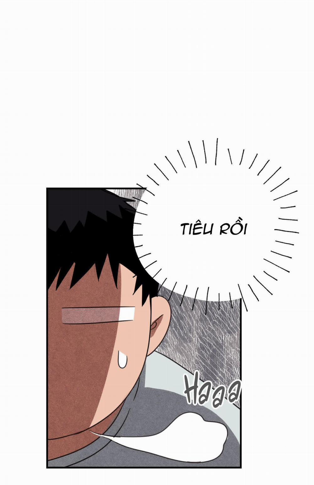 NGÔI NHÀ HƯỚNG MẶT TRỜI MỌC 4 trang 6