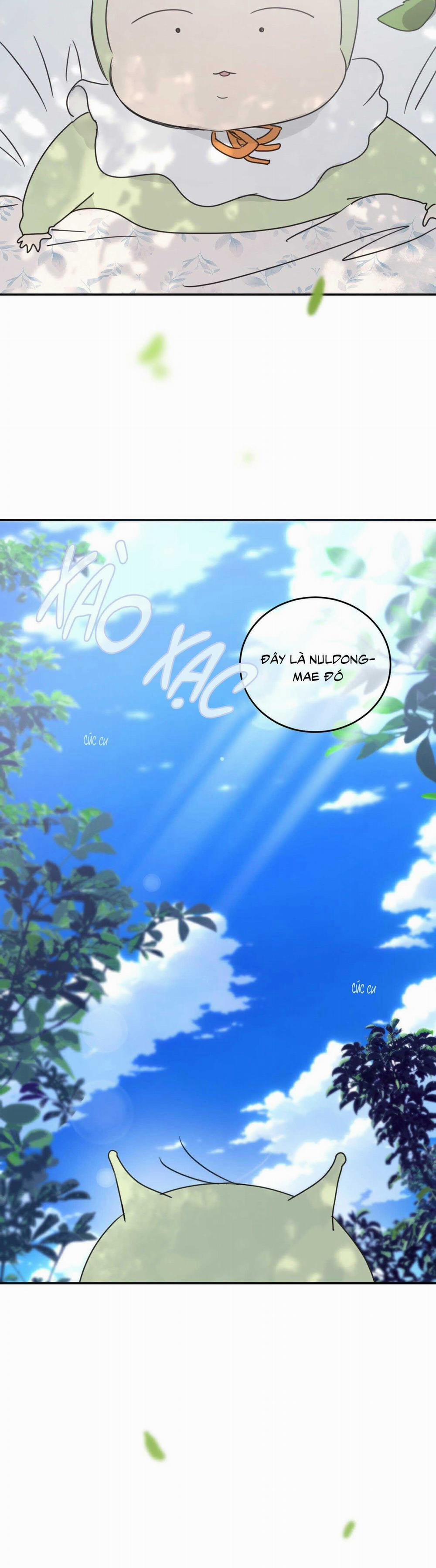 NGÔI NHÀ HƯỚNG MẶT TRỜI MỌC 40 trang 15