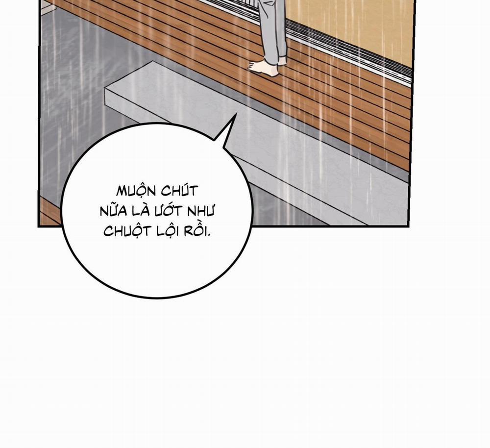 NGÔI NHÀ HƯỚNG MẶT TRỜI MỌC 41 trang 30