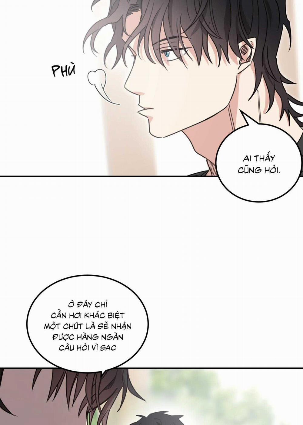 NGÔI NHÀ HƯỚNG MẶT TRỜI MỌC 44 trang 38