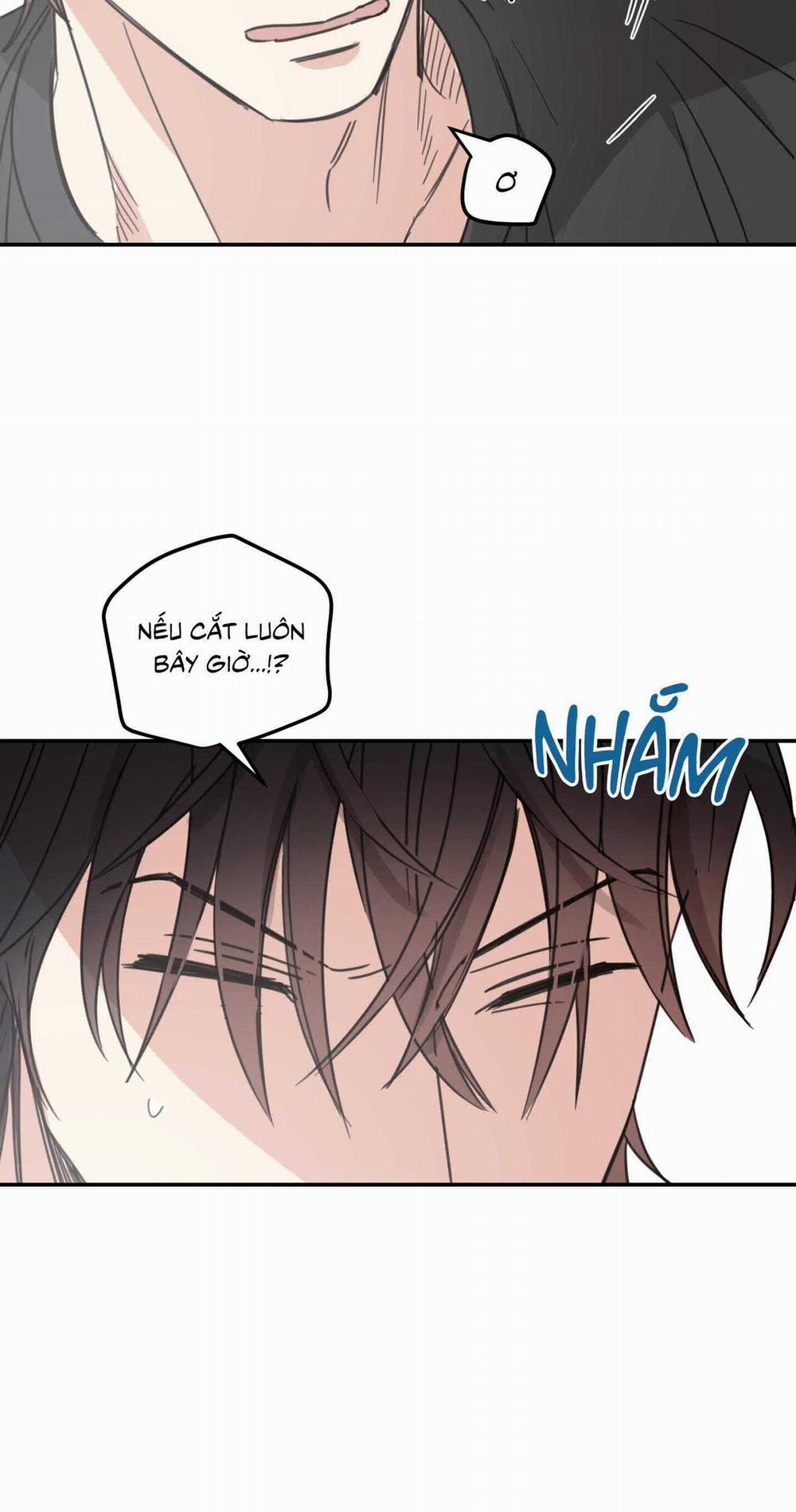 NGÔI NHÀ HƯỚNG MẶT TRỜI MỌC 44 trang 47