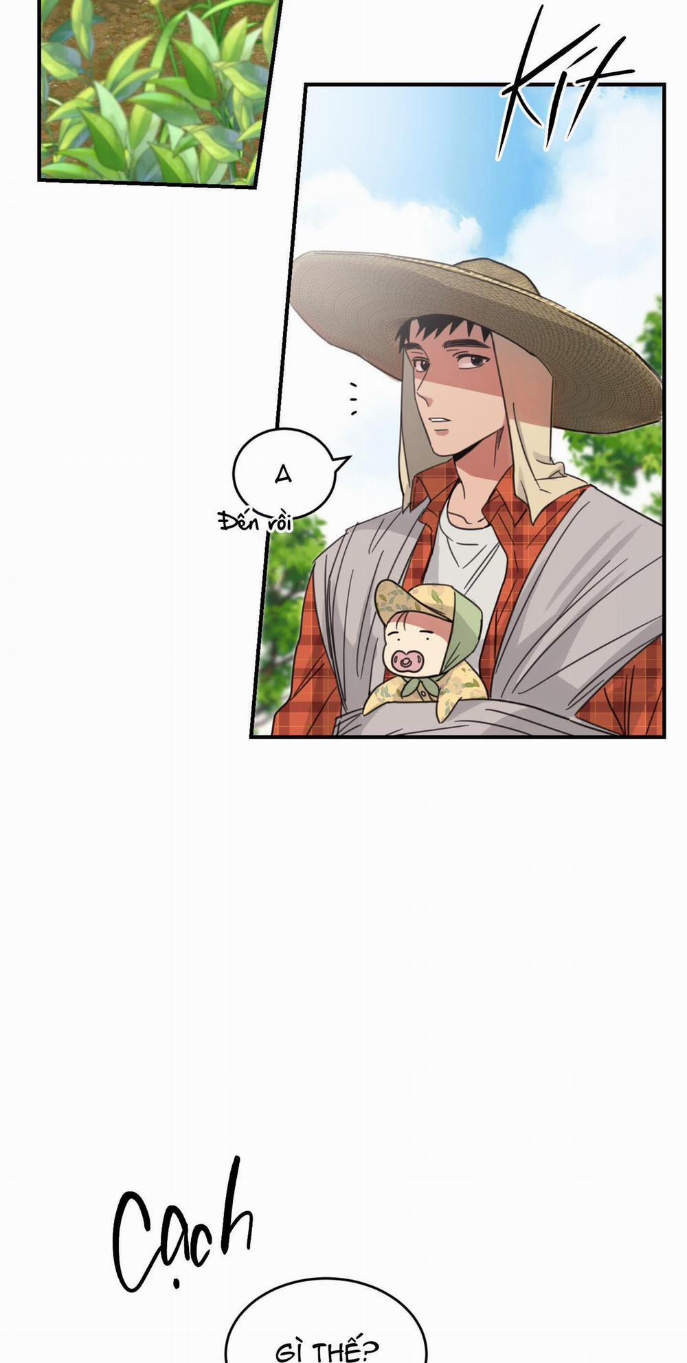 NGÔI NHÀ HƯỚNG MẶT TRỜI MỌC 5 trang 14