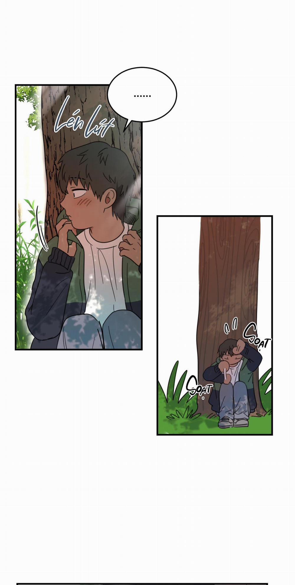 NGÔI NHÀ HƯỚNG MẶT TRỜI MỌC 5 trang 47