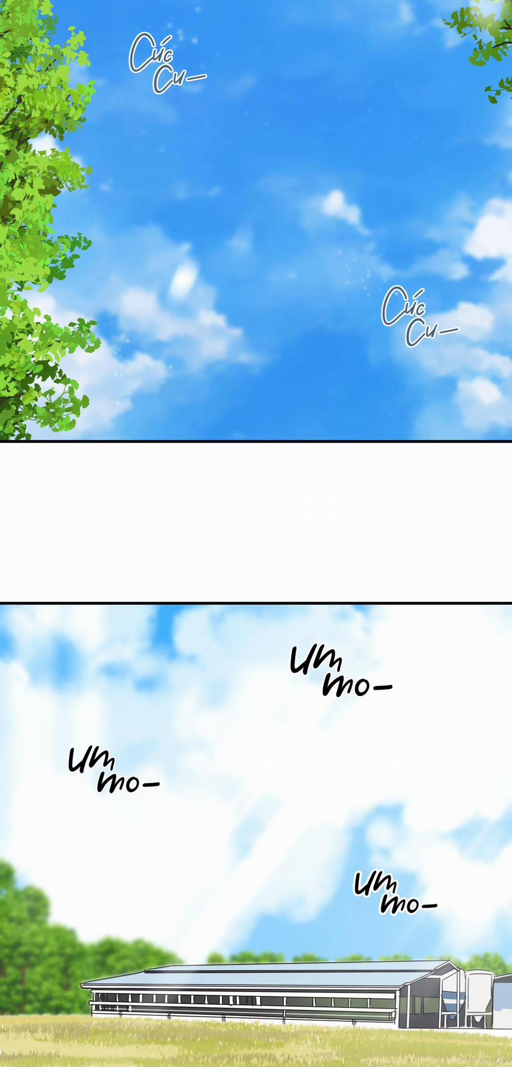 NGÔI NHÀ HƯỚNG MẶT TRỜI MỌC 8 trang 20