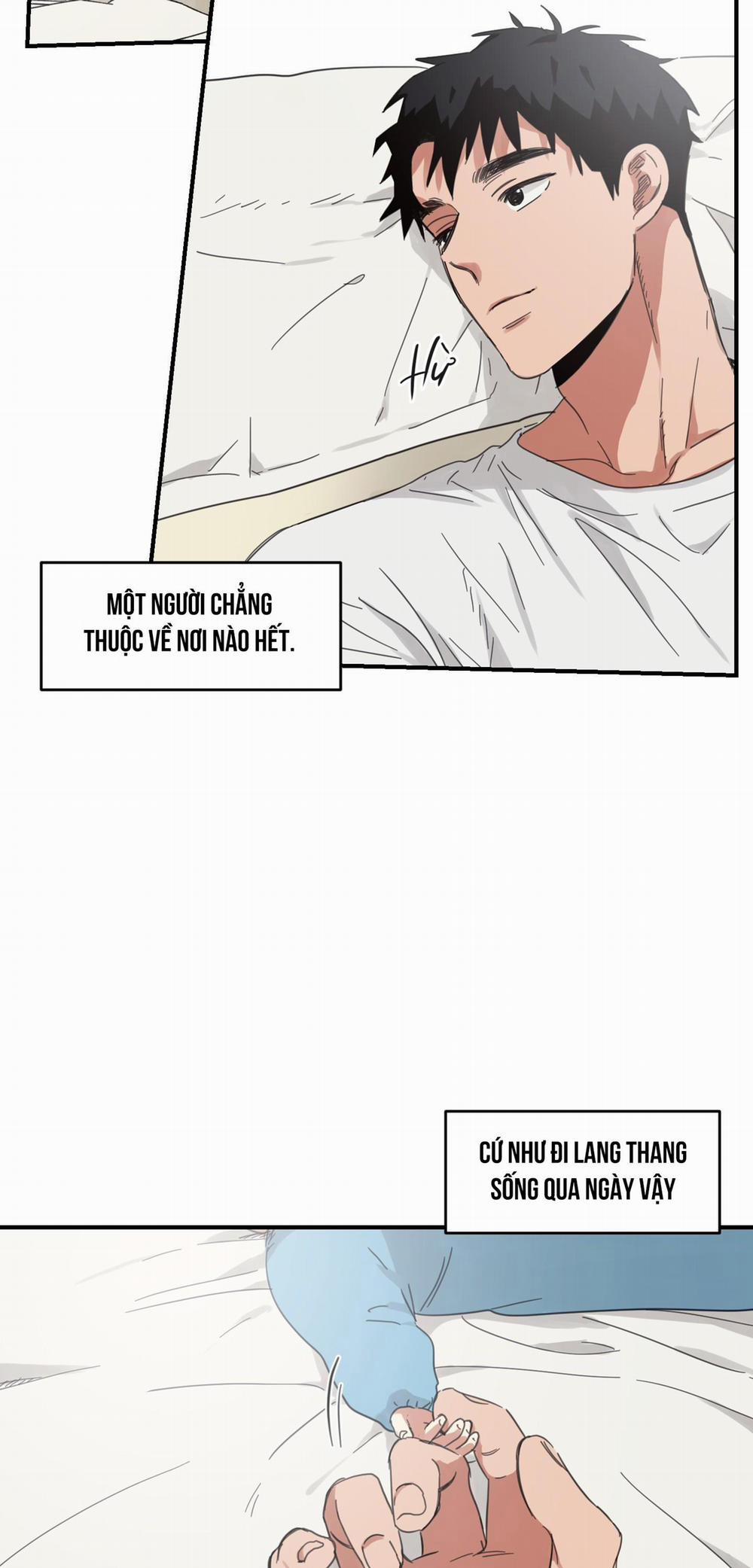 NGÔI NHÀ HƯỚNG MẶT TRỜI MỌC 8 trang 40