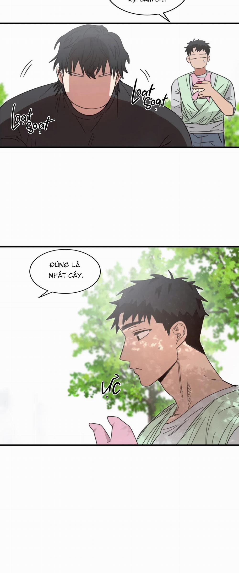 NGÔI NHÀ HƯỚNG MẶT TRỜI MỌC 9 trang 21