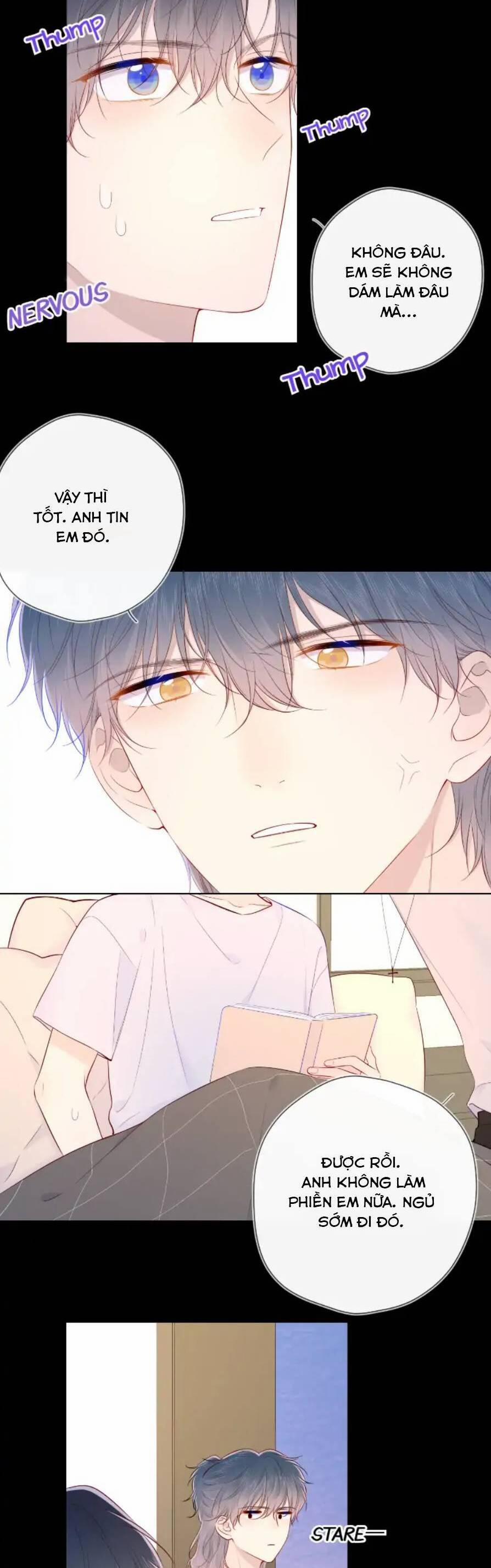 Ngôi Sao Cho Tôi 100 trang 5