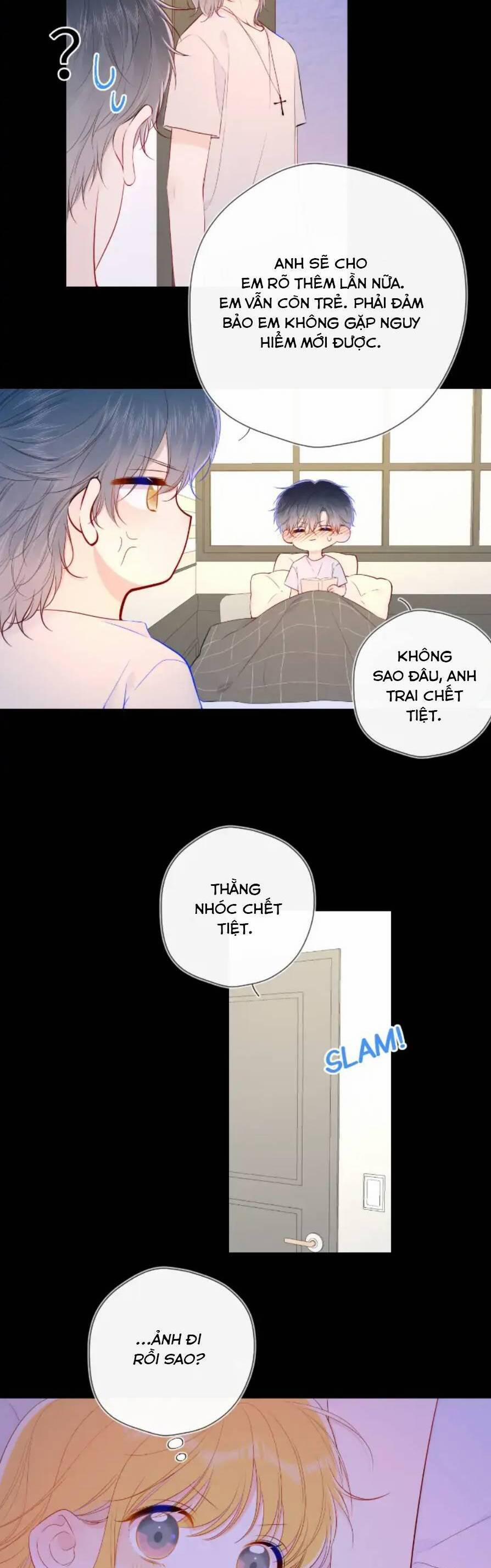 Ngôi Sao Cho Tôi 100 trang 6