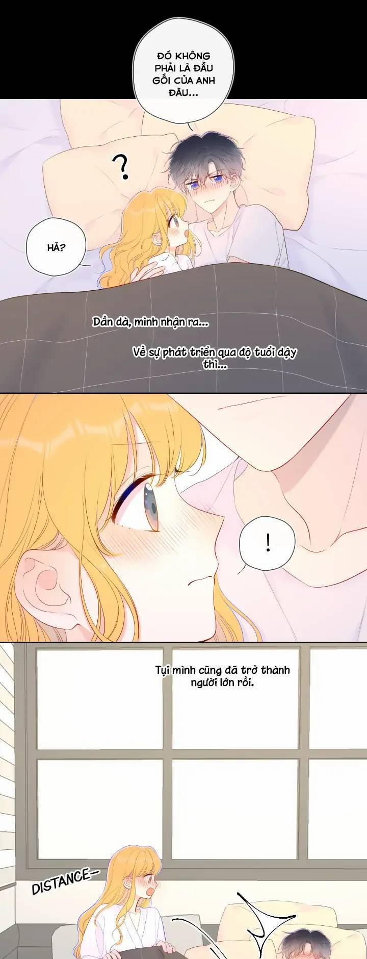 Ngôi Sao Cho Tôi 101 trang 11