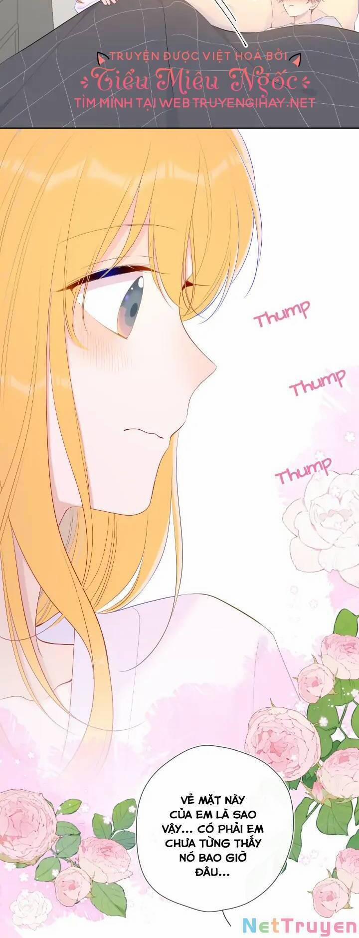 Ngôi Sao Cho Tôi 101 trang 12