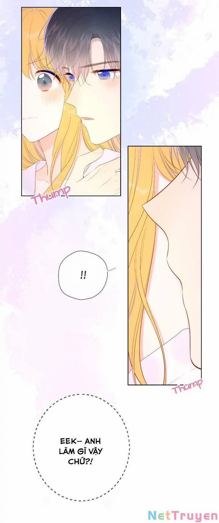 Ngôi Sao Cho Tôi 101 trang 18