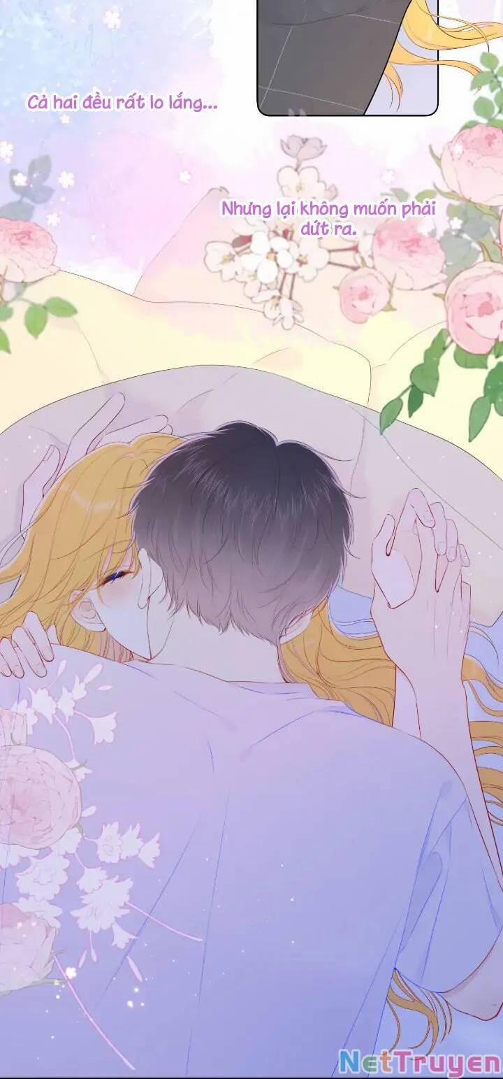 Ngôi Sao Cho Tôi 101 trang 5