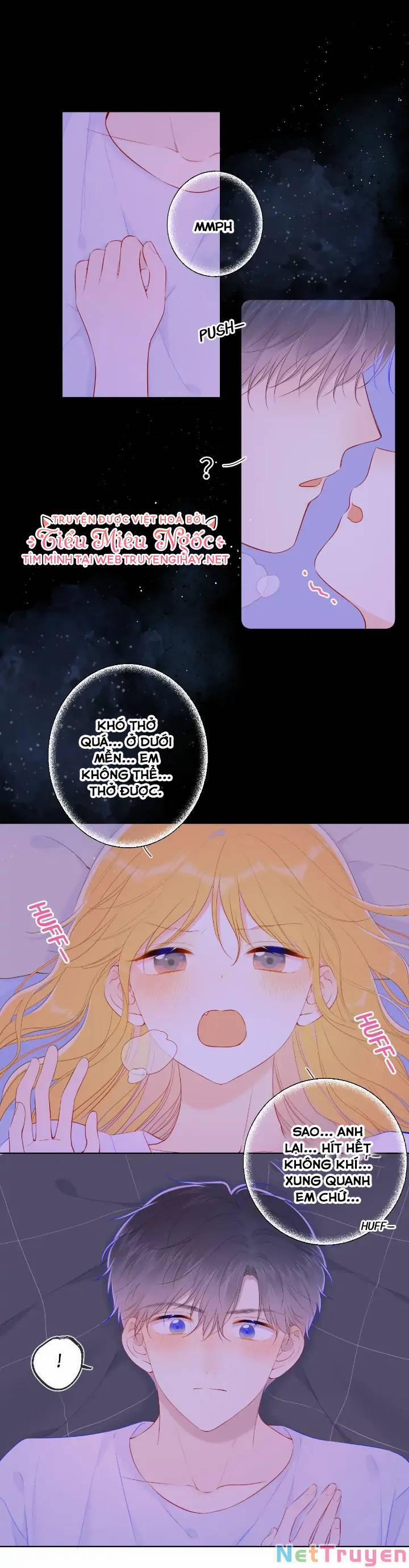 Ngôi Sao Cho Tôi 101 trang 6