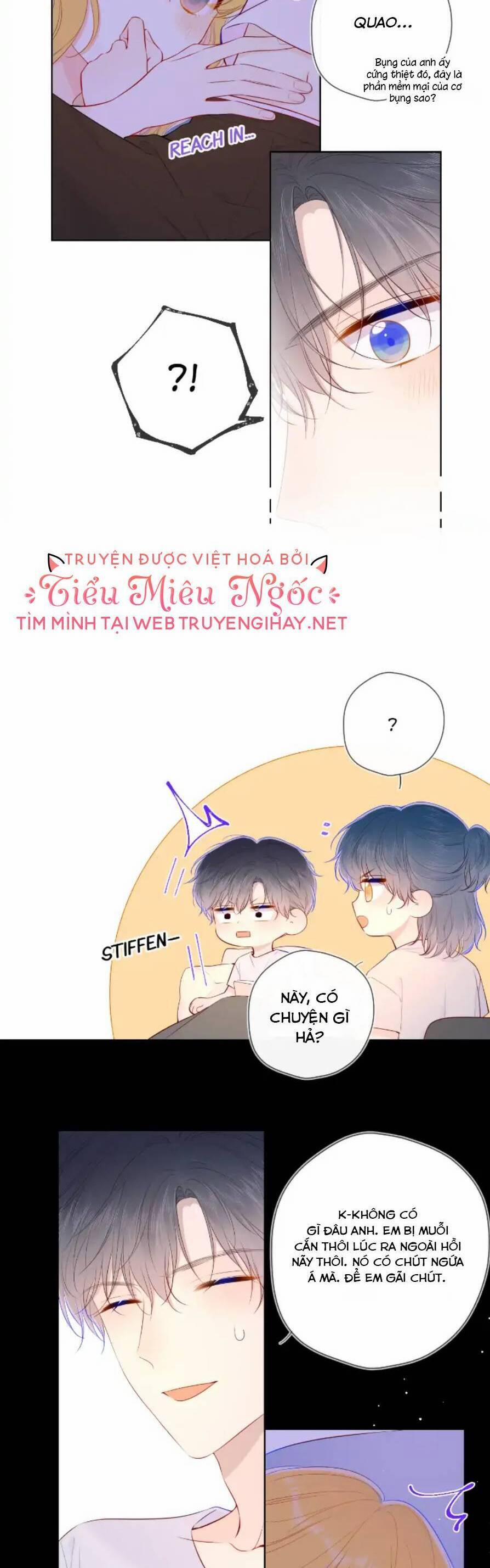 Ngôi Sao Cho Tôi 108 trang 3