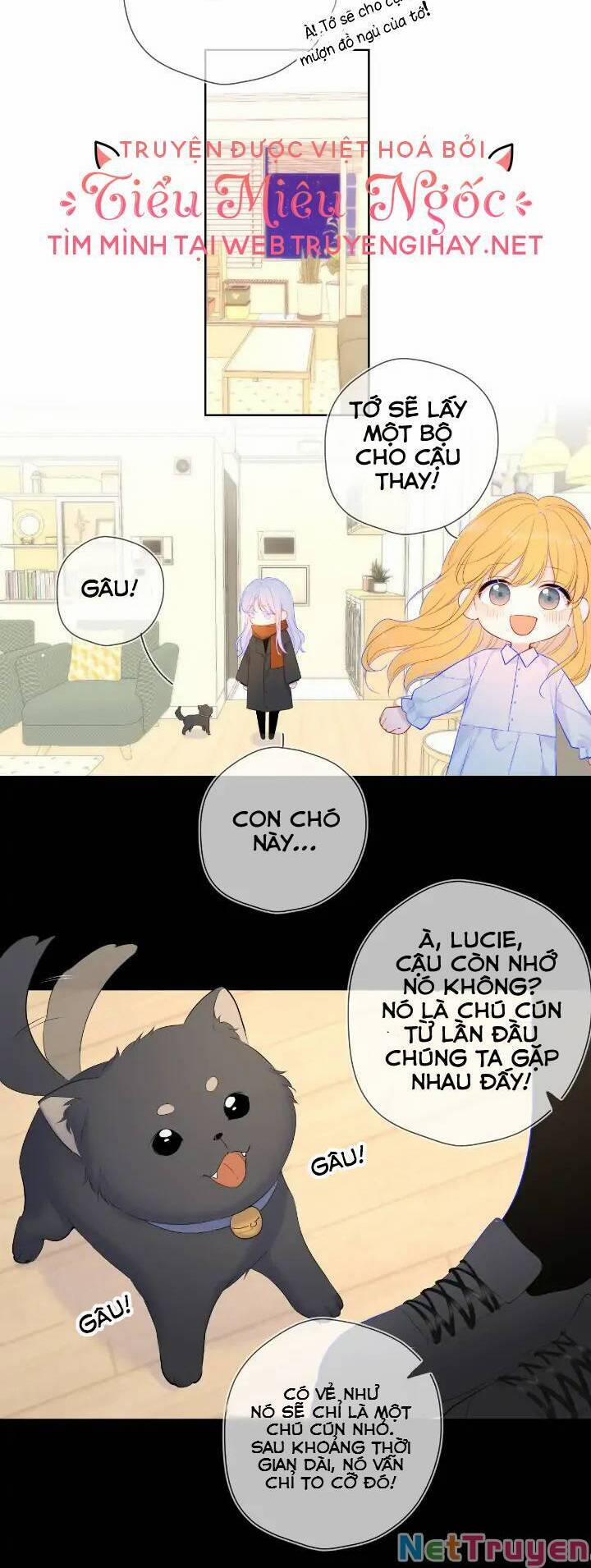 Ngôi Sao Cho Tôi 110 trang 6