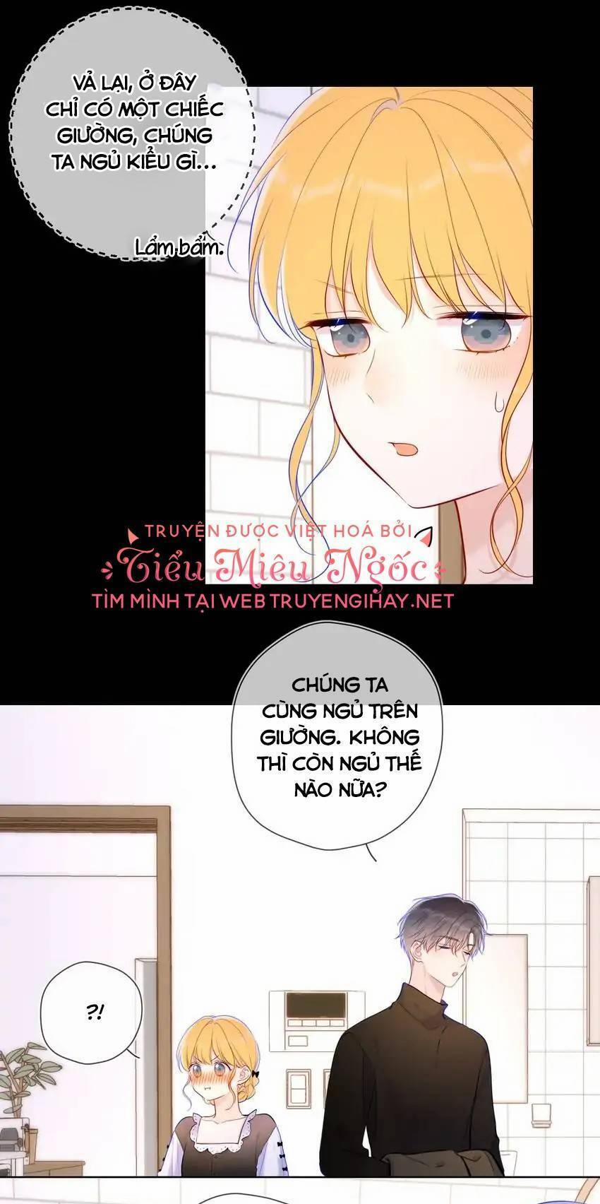 Ngôi Sao Cho Tôi 115 trang 3