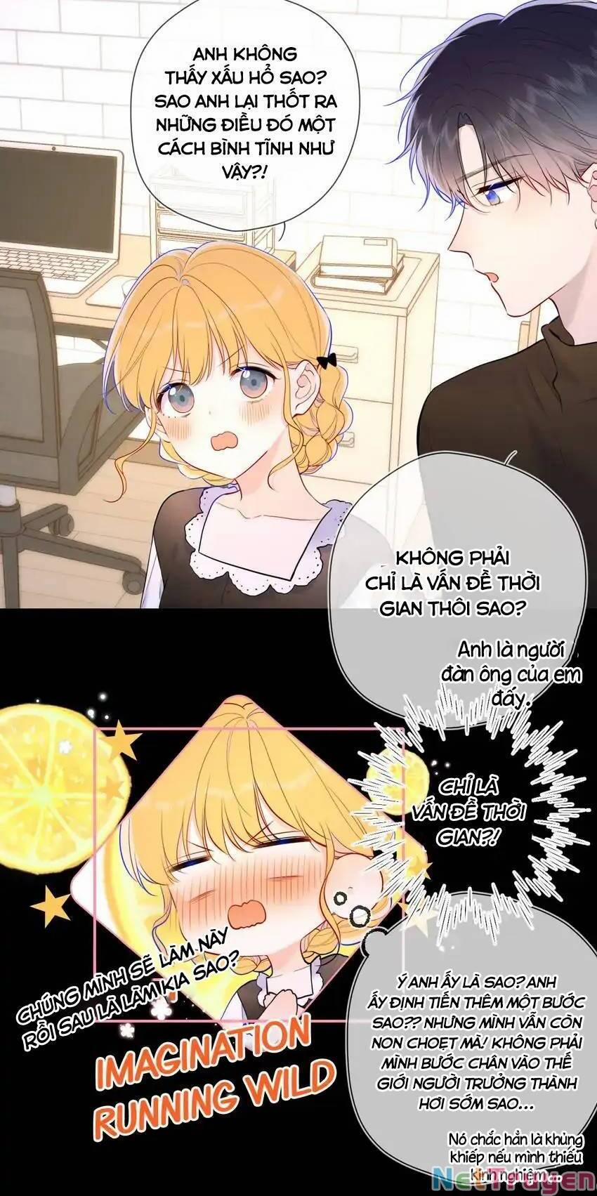 Ngôi Sao Cho Tôi 115 trang 4