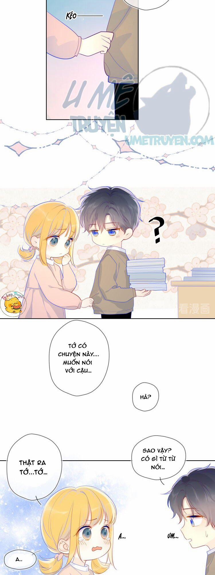 Ngôi Sao Cho Tôi 13 trang 17