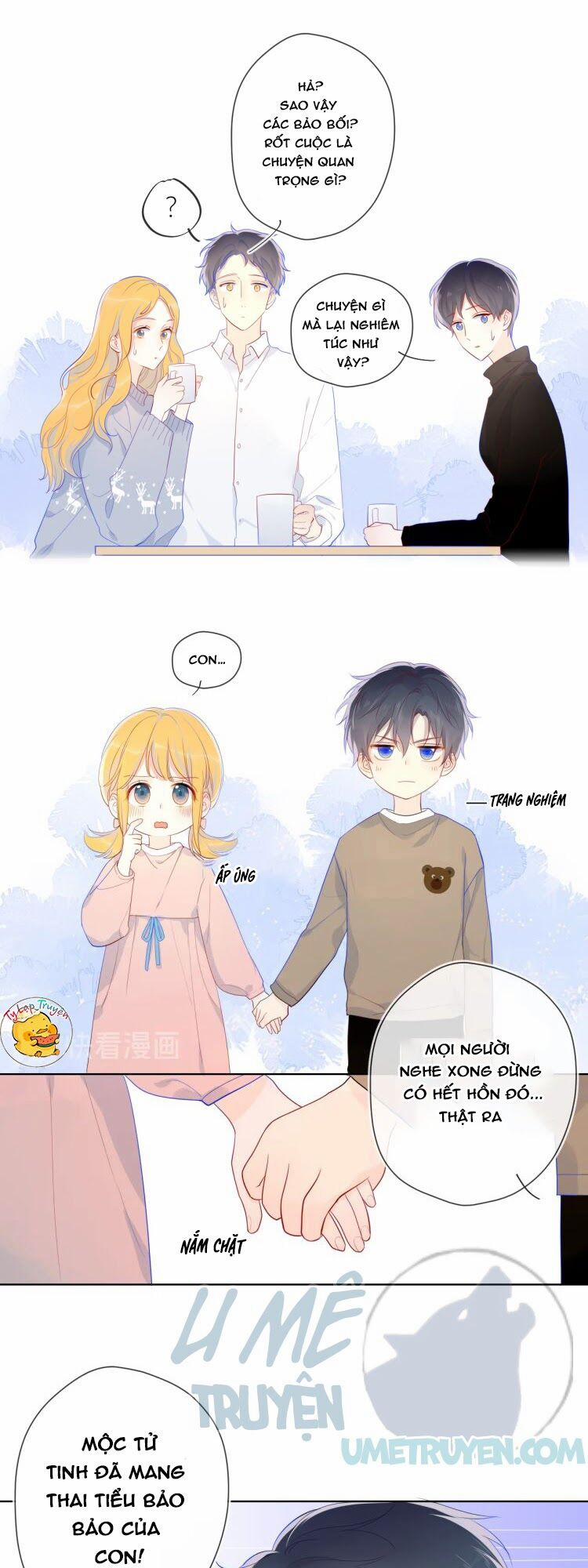 Ngôi Sao Cho Tôi 13 trang 23