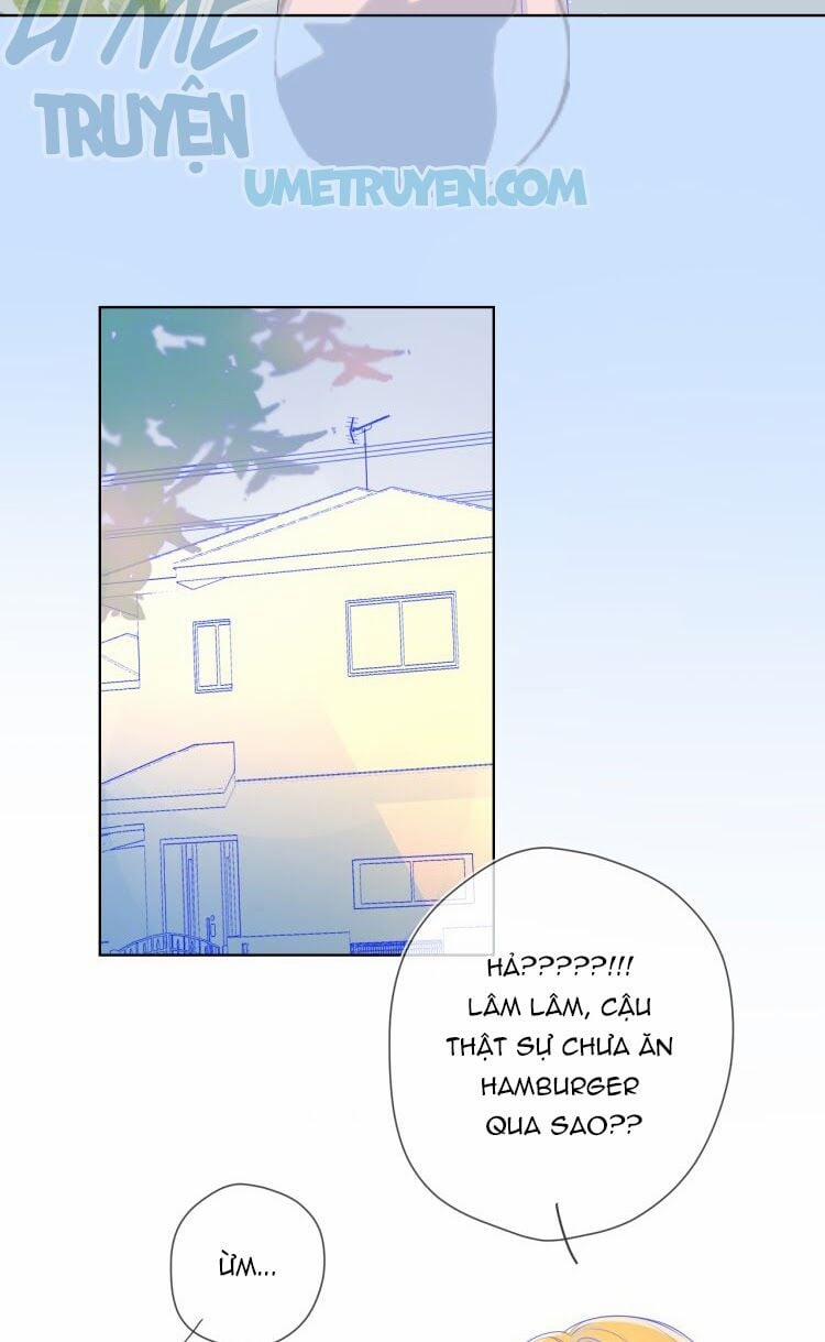 Ngôi Sao Cho Tôi 15 trang 3