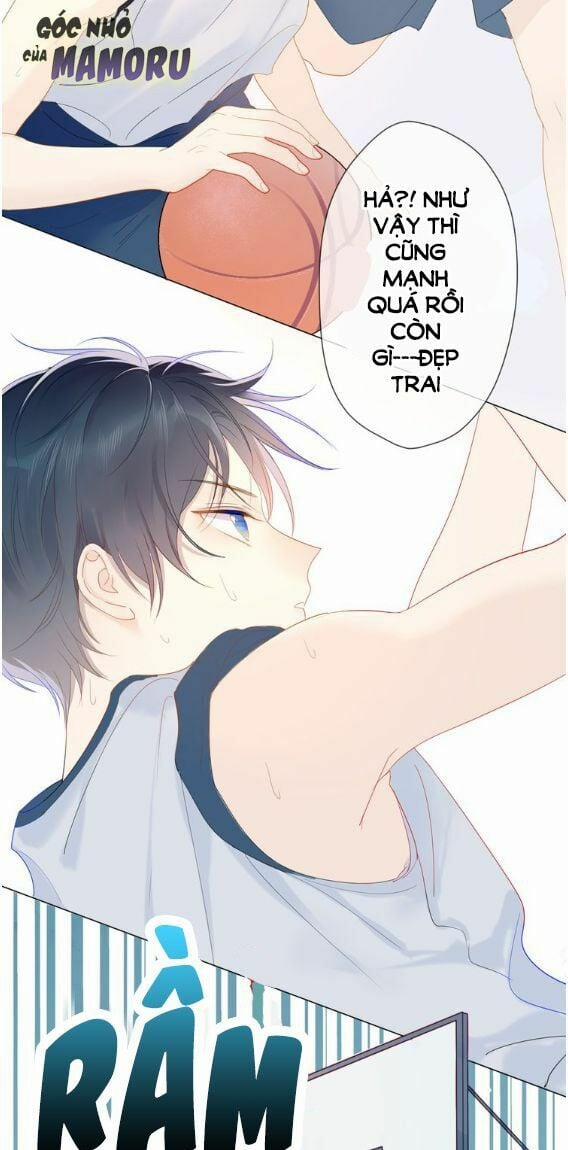 Ngôi Sao Cho Tôi 2 trang 2