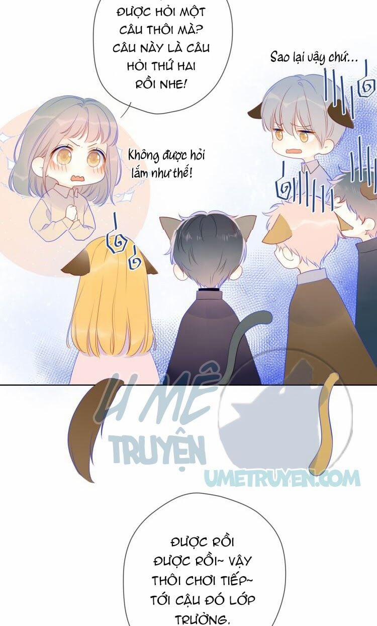 Ngôi Sao Cho Tôi 20 trang 5